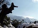 13-02-2010 11h46 05
